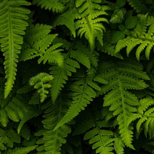 Green wallpaper